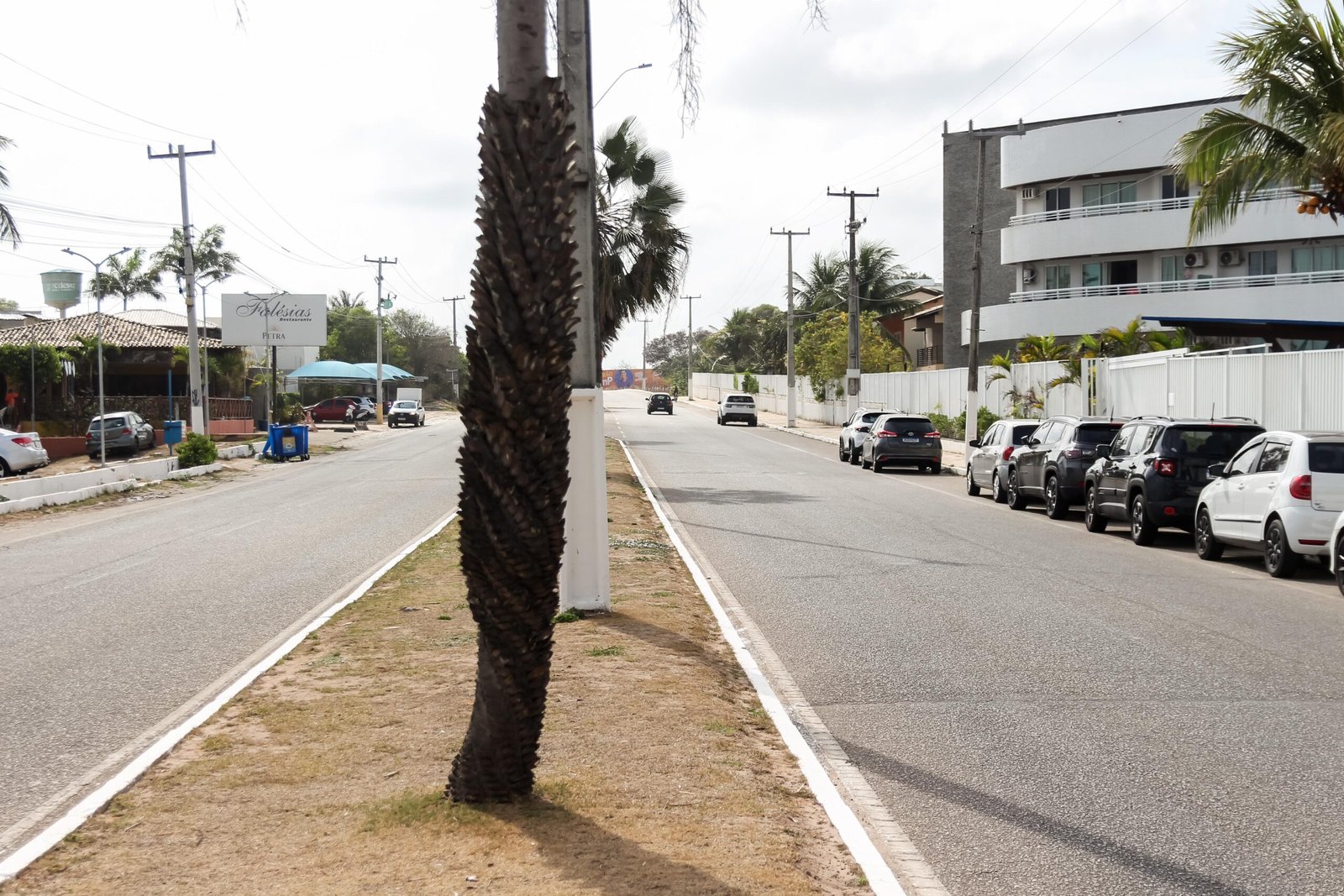 Trânsito do Litoral passará por mudanças neste sábado (11)