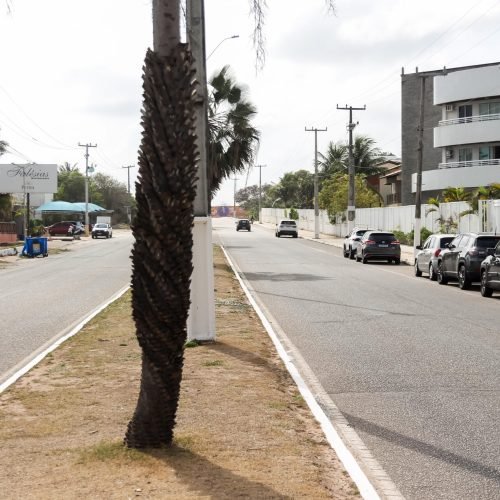 Trânsito do Litoral passará por mudanças neste sábado (11)